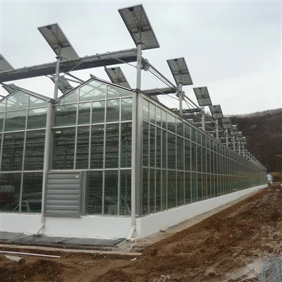 Glass Photovoltaic Greenhouse