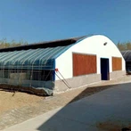 Trang trại nhà kính