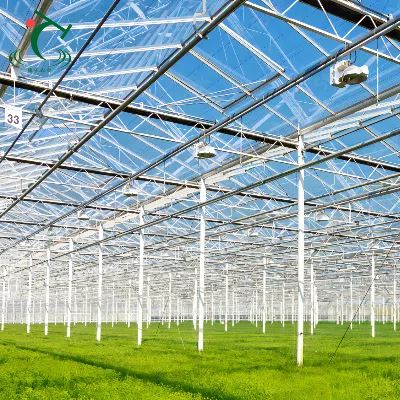 China Venlo Glass Greenhouse For Middle East