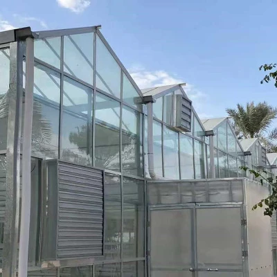 China Venlo Glass Greenhouse For Middle East