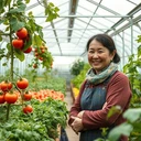 Nhà kính Glass Venlo Trung Quốc cho Trung Á