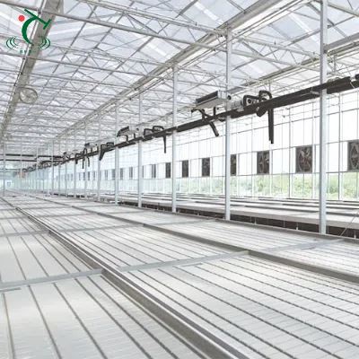 China Venlo Glass Greenhouse